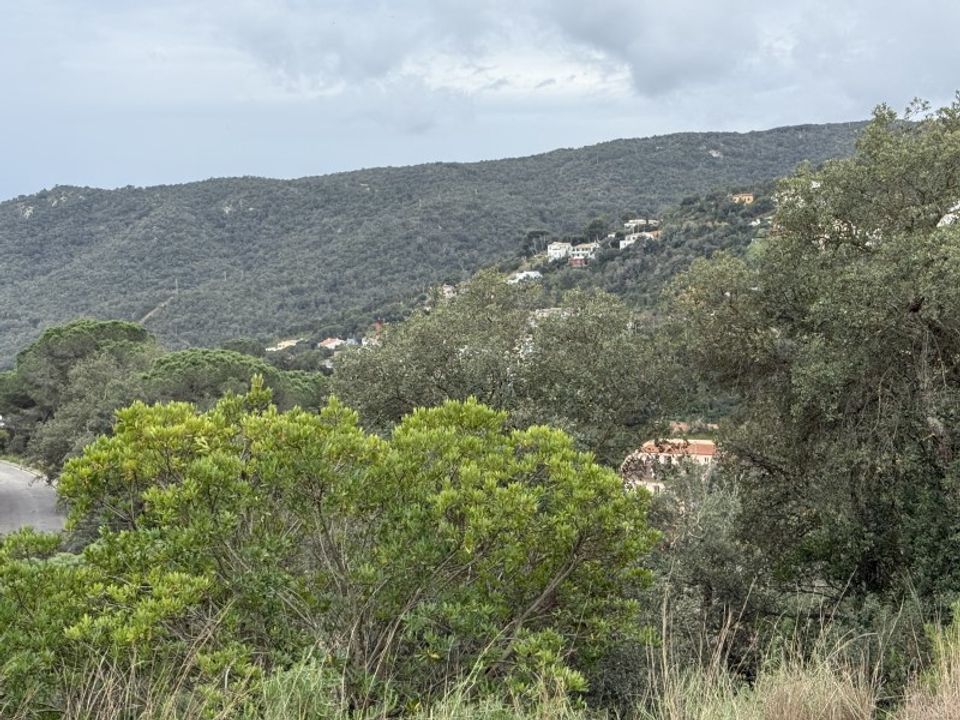Helårsgrund i Calonge, Gerona - foto 4
