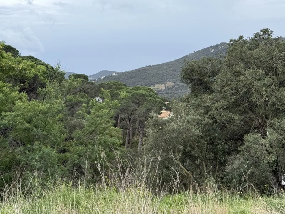 Helårsgrund i Calonge, Gerona - foto 5