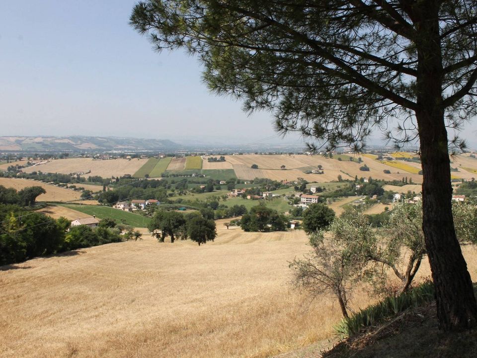 Herregård i Recanati, Macerata - bilde 4
