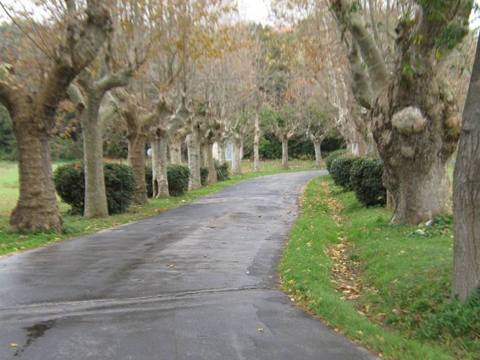 Villa i Porto Recanati, Macerata - foto 5