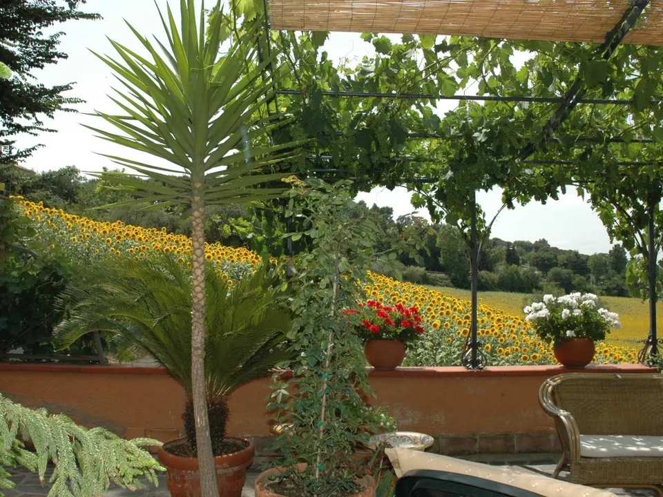 Villa i Loreto, Ancona - bilde 3