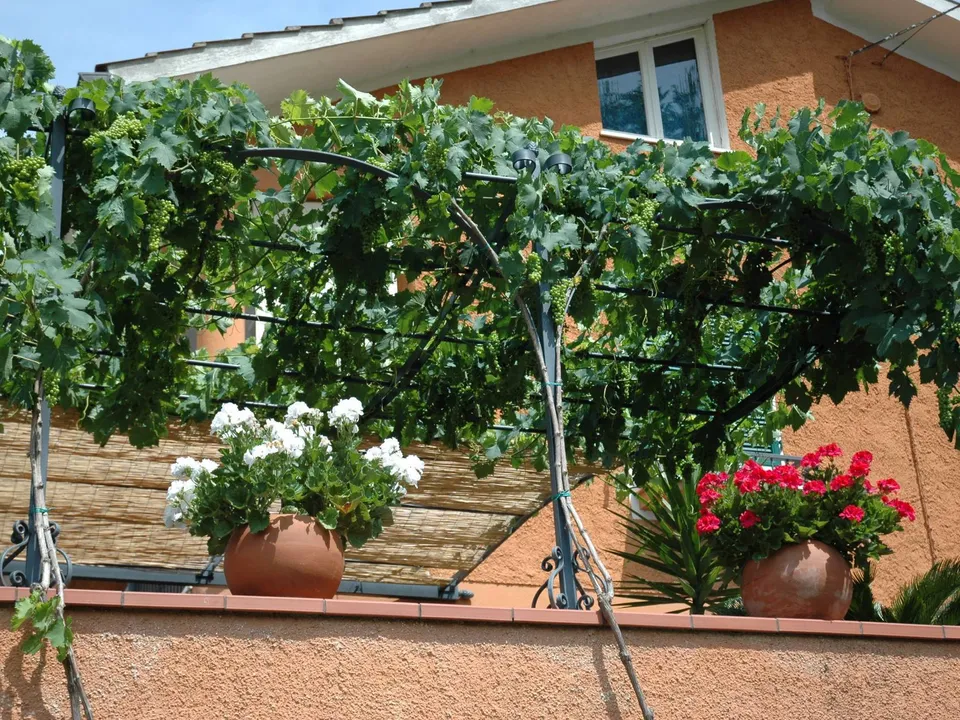 Villa i Loreto, Ancona - bilde 2
