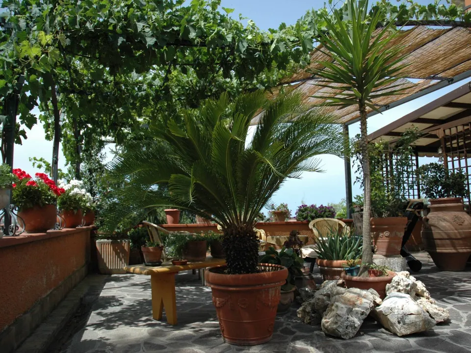 Villa i Loreto, Ancona - bilde 1