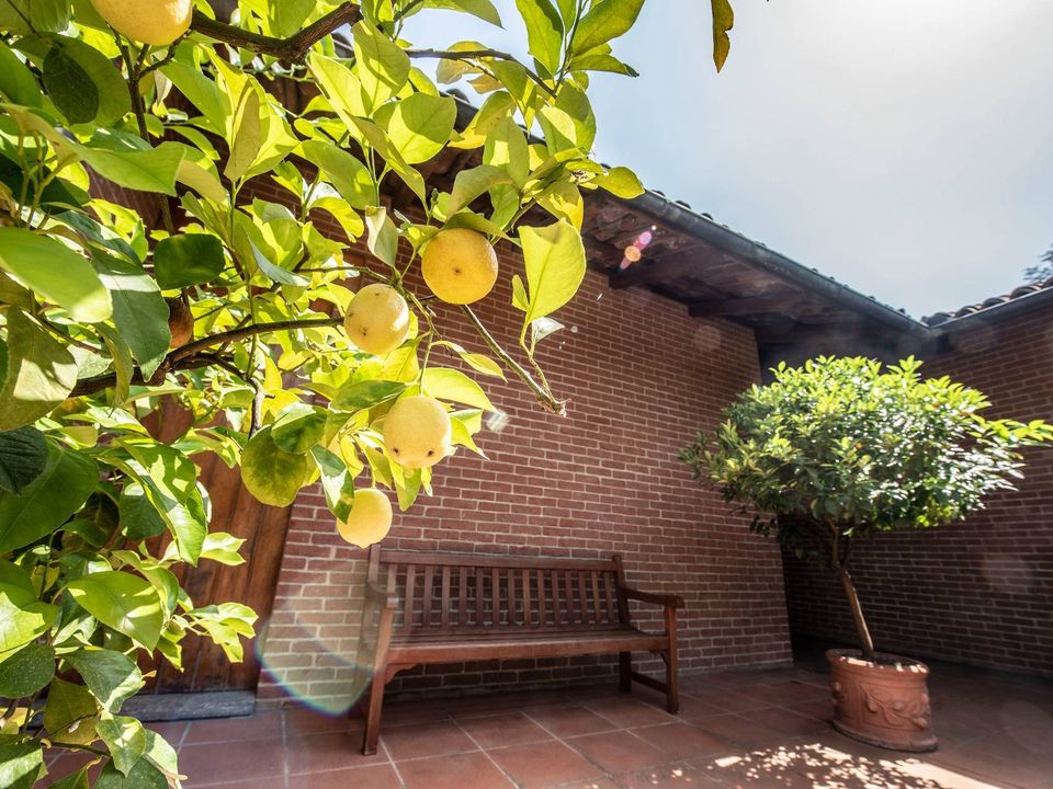 Villa en Montafia, Asti - foto 4