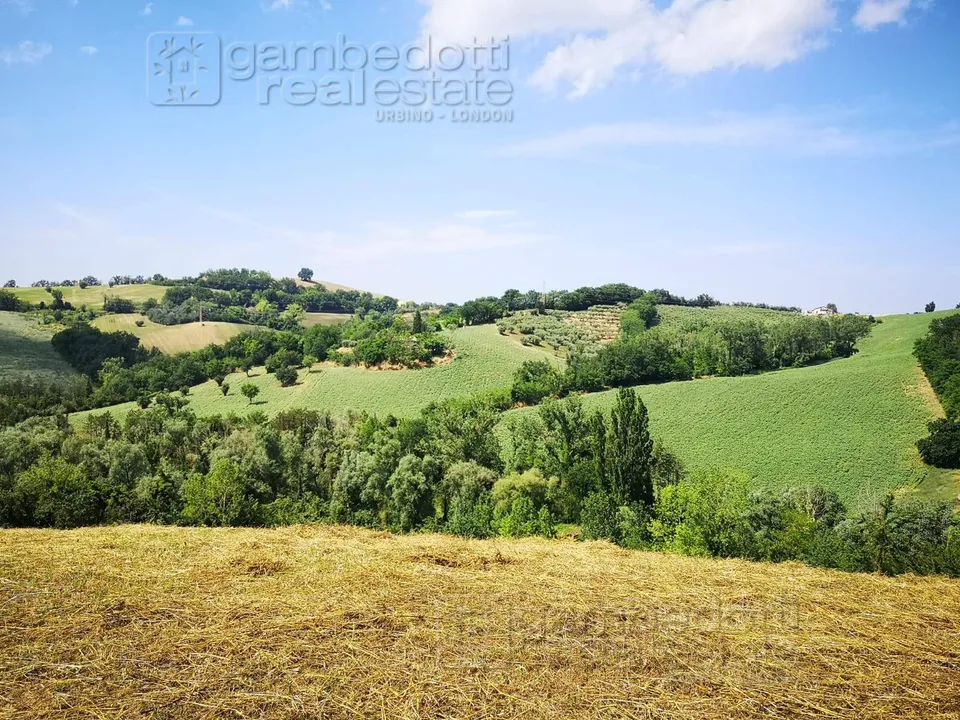 Landejendom i Terre Roveresche, Pesaro and Urbino - foto 2