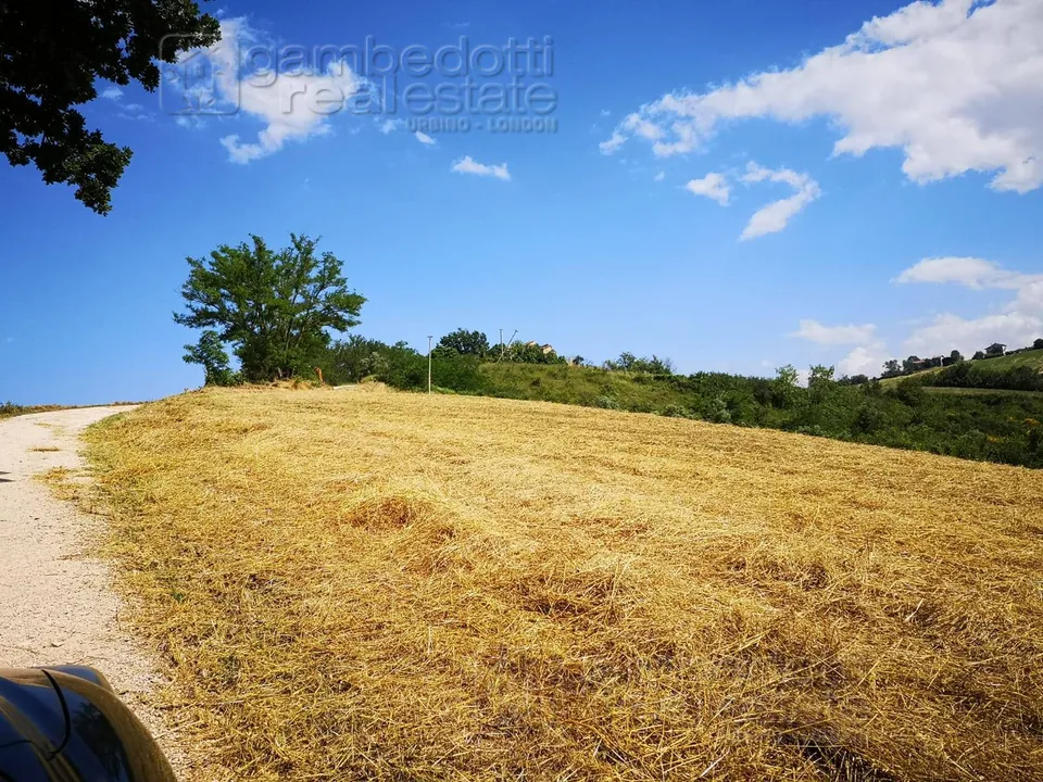 Landejendom i Terre Roveresche, Pesaro and Urbino - foto 3