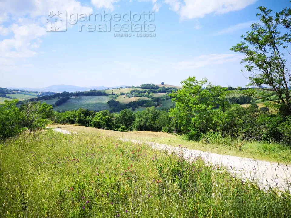 Landejendom i Terre Roveresche, Pesaro and Urbino - foto 5