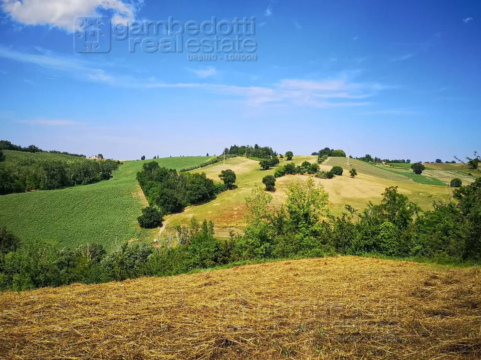 Landejendom i Terre Roveresche, Pesaro and Urbino - foto 2