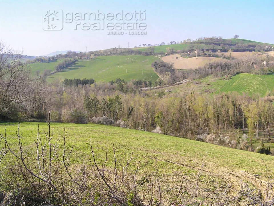 Landejendom i Terre Roveresche, Pesaro and Urbino - foto 4