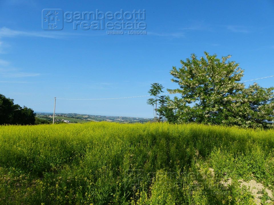 Helårsgrund i Sant'Ippolito, Pesaro and Urbino - foto 4