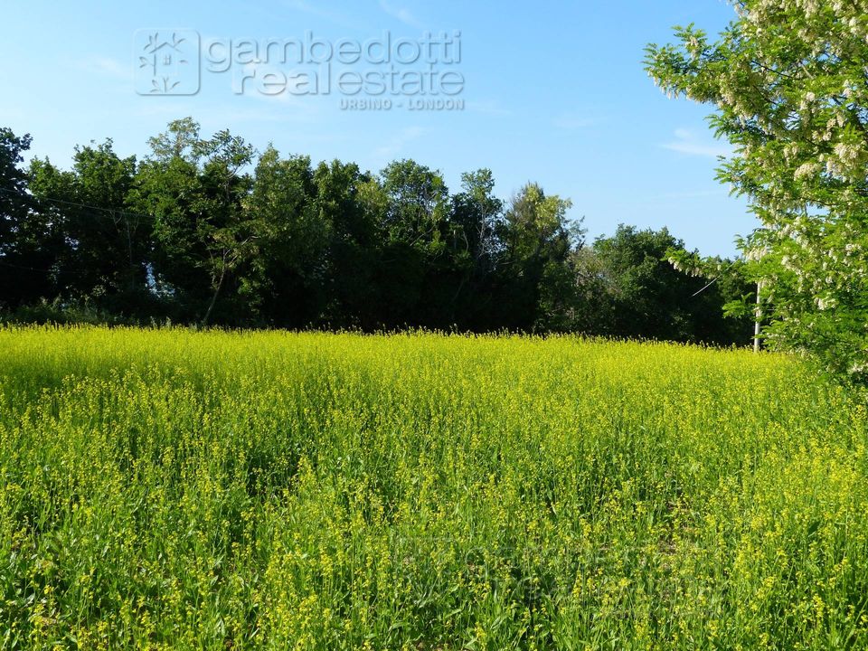 Helårsgrund i Sant'Ippolito, Pesaro and Urbino - foto 5