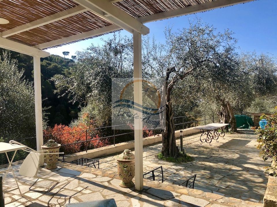 Villa i Vallebona, Imperia - foto 5