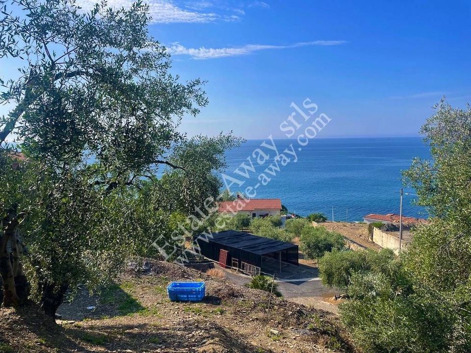 Tomt i Cipressa, Imperia - bilde 2