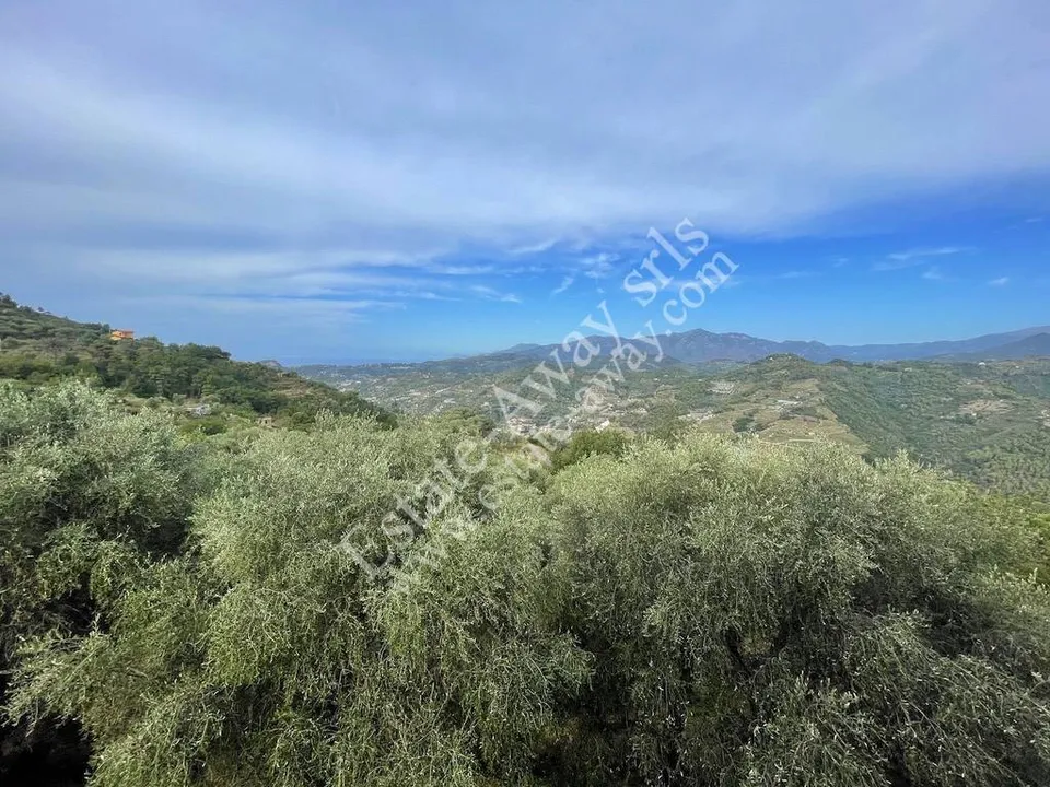 Villa i Soldano, Imperia - foto 5