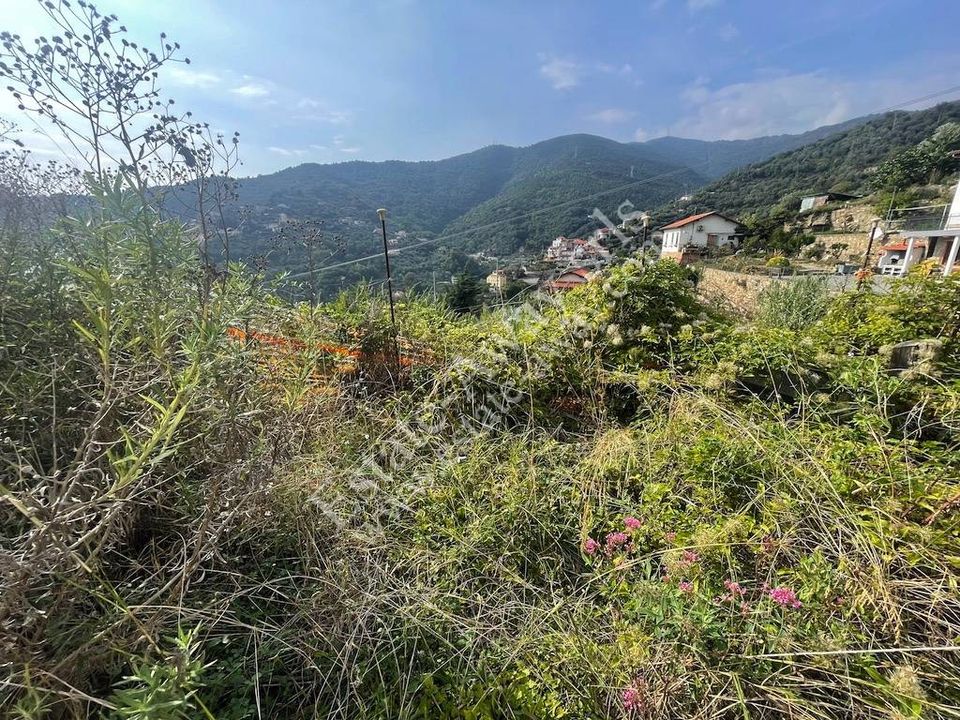 Helårsgrund i Sanremo, Imperia - foto 3
