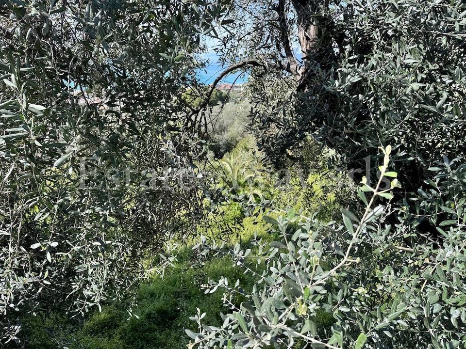 Helårsgrund i Bordighera, Imperia - foto 4