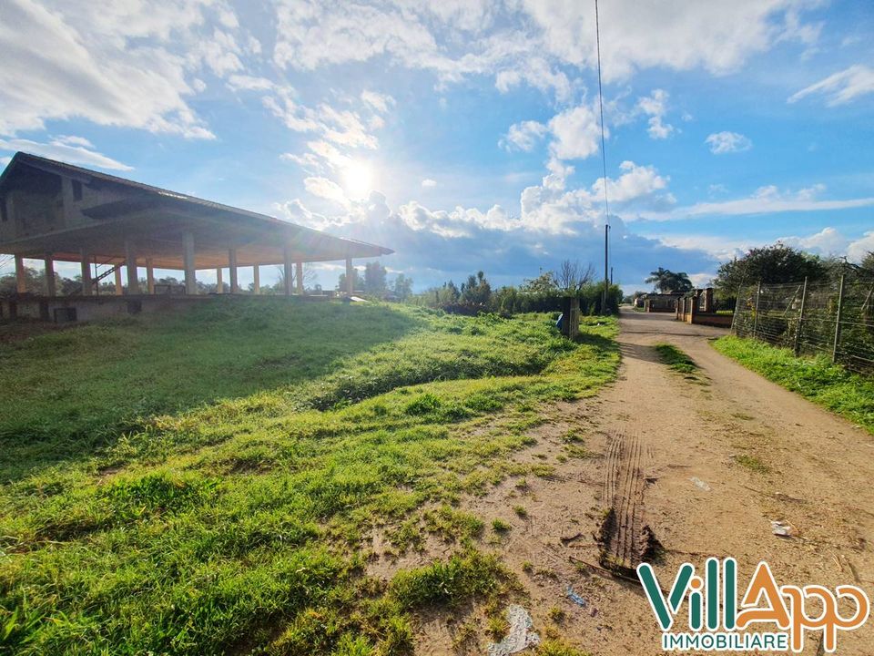 Villa i Fondi, Latina - foto 4