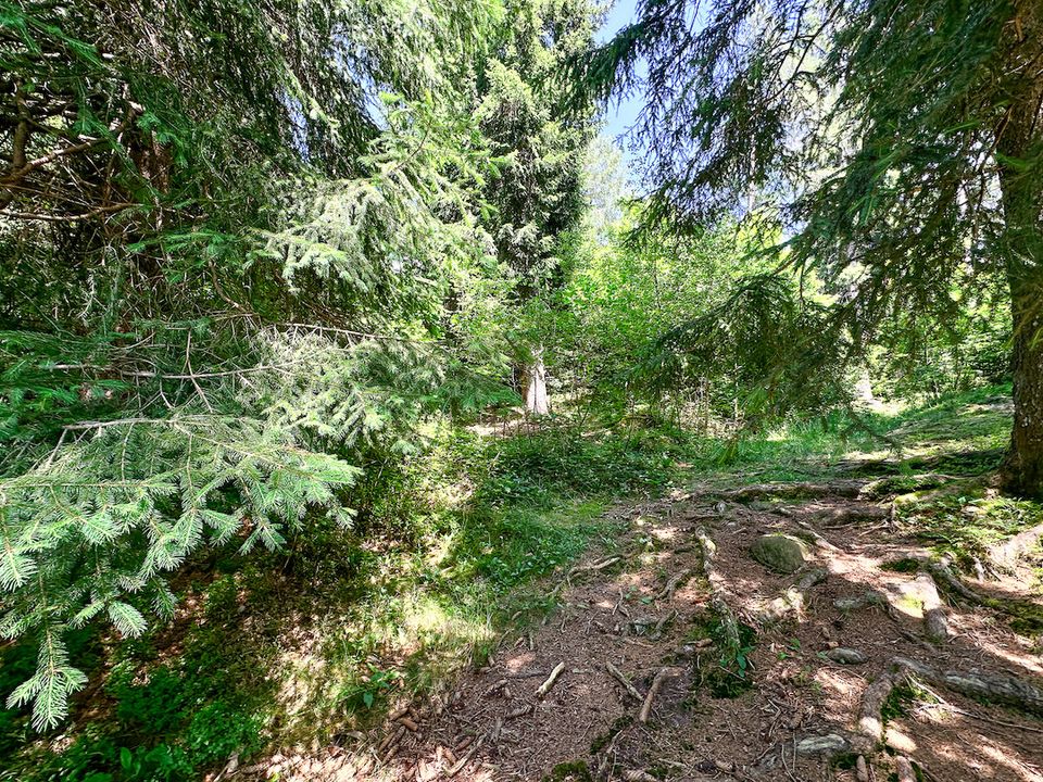 Helårsgrund i Collio, Brescia - foto 4