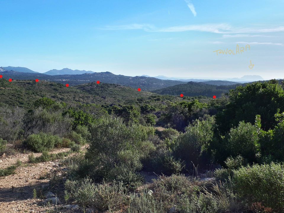 Terreno en Berchidda, Sassari - foto 2