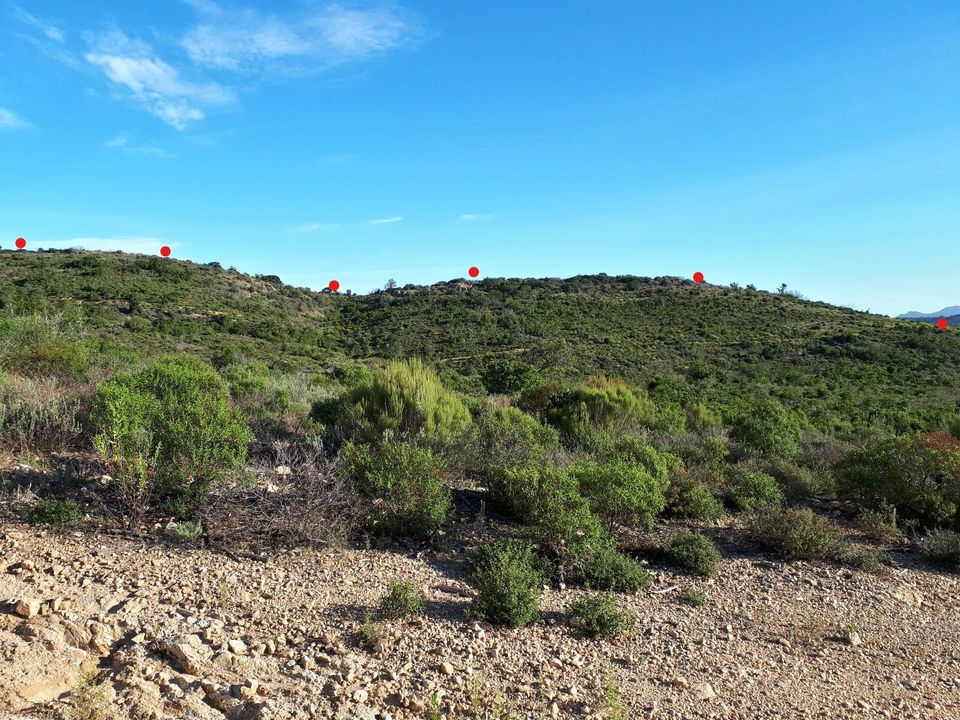 Terreno en Berchidda, Sassari - foto 3