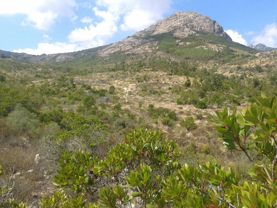 Terreno en Berchidda, Sassari - foto 4
