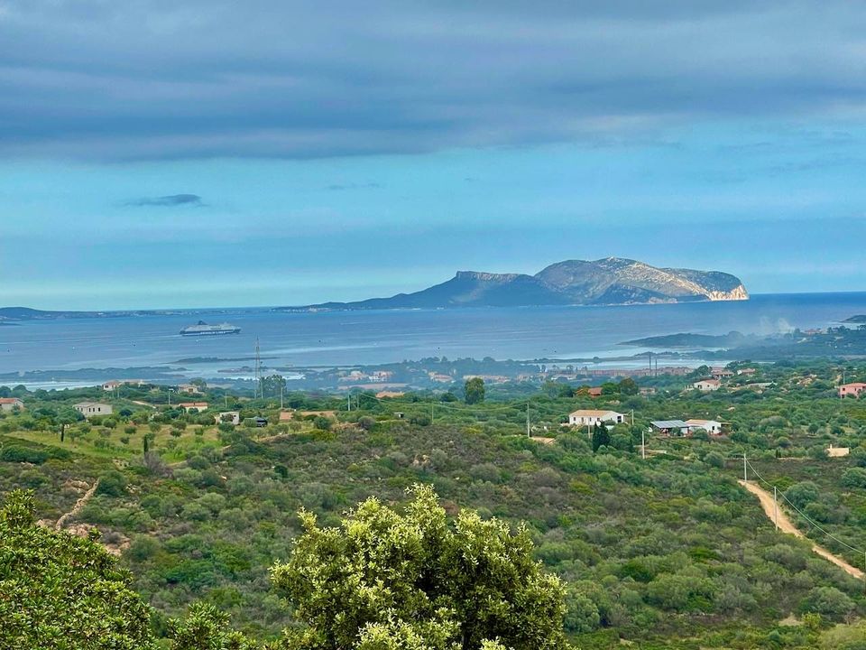 Villa i Olbia, Sassari - foto 2