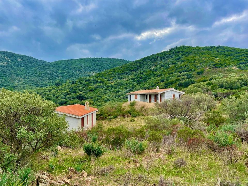 Villa i Olbia, Sassari - foto 4