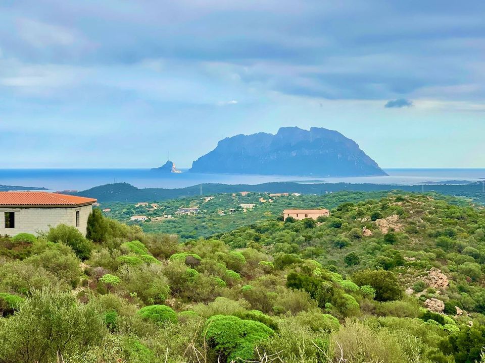 Villa i Olbia, Sassari - foto 5