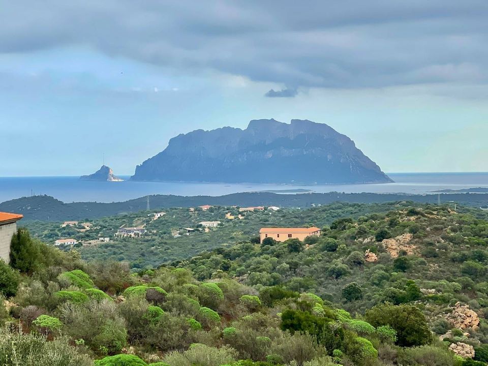 Villa i Olbia, Sassari - foto 3
