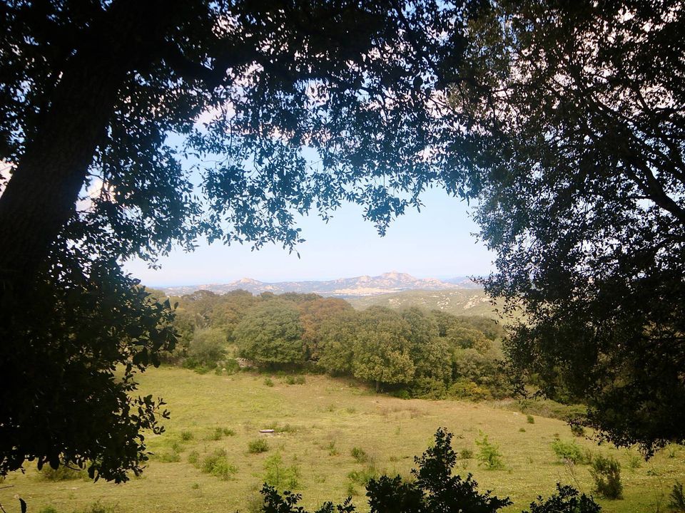 Helårsgrund i Sant'Antonio di Gallura, Sassari - foto 2
