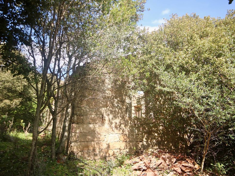 Landejendom i Sant'Antonio di Gallura, Sassari - foto 5