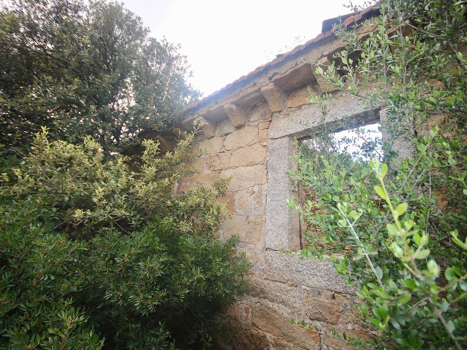 Landejendom i Sant'Antonio di Gallura, Sassari - foto 1