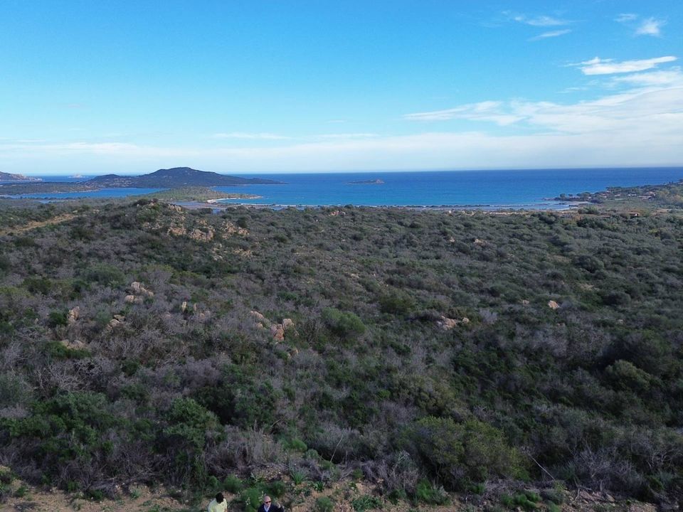 Helårsgrund i San Teodoro, Sassari - foto 3