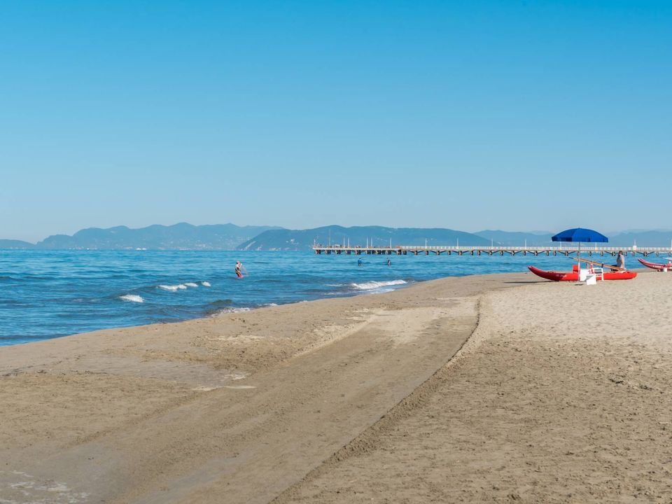 Erhvervsejendom i Forte dei Marmi, Lucca - foto 4