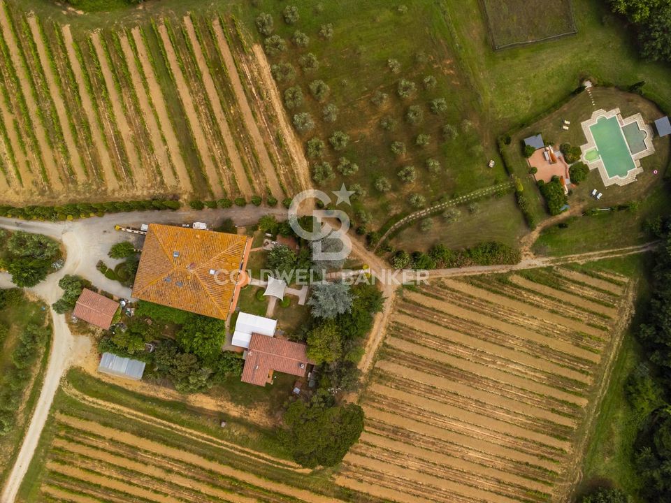 Gård i Montecarlo, Lucca - bilde 3