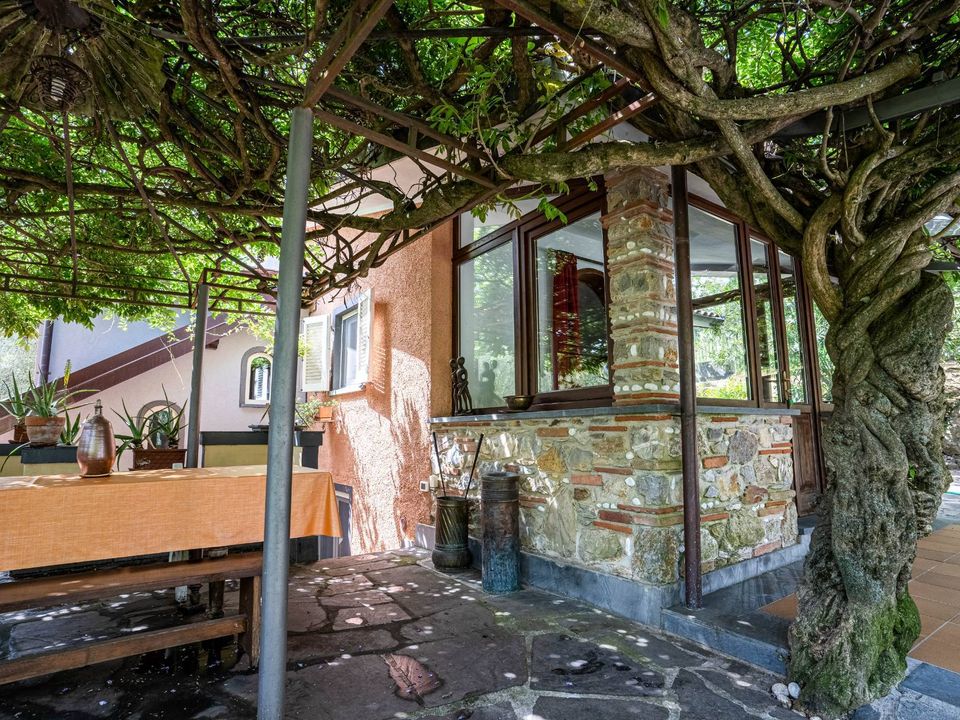 Villa i Camaiore, Lucca - foto 2