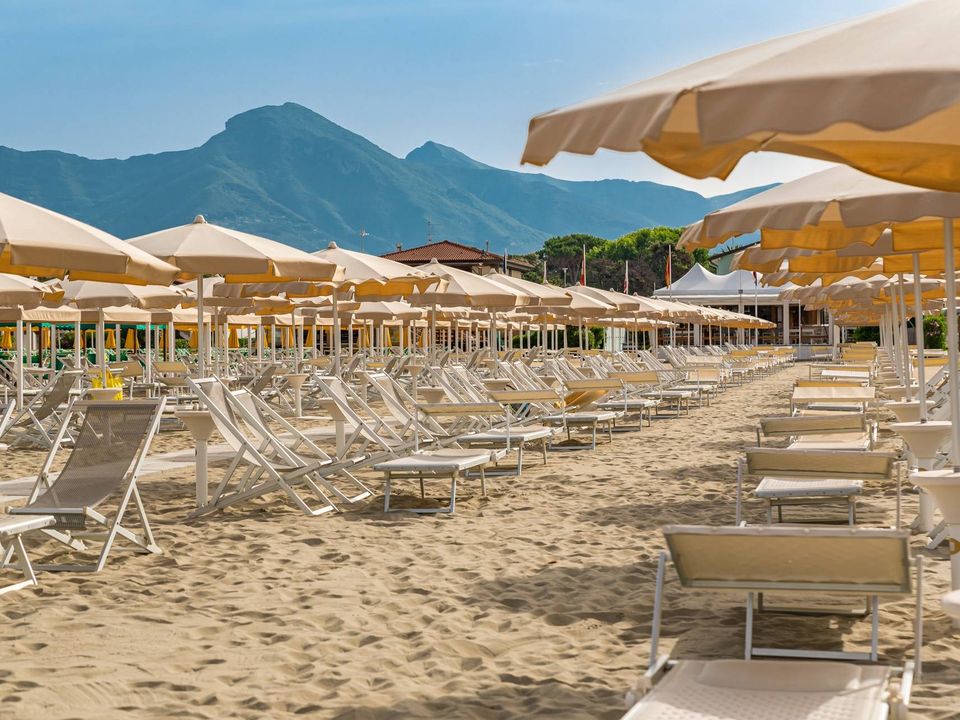 Erhvervsejendom i Camaiore, Lucca - foto 3