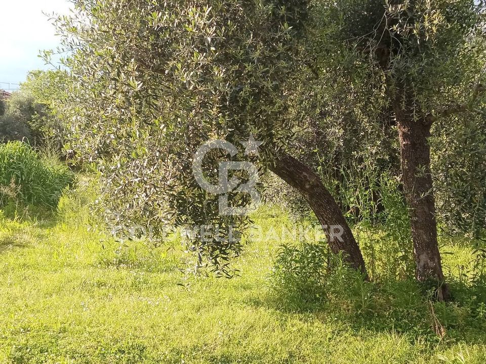 Helårsgrund i Pietrasanta, Lucca - foto 4