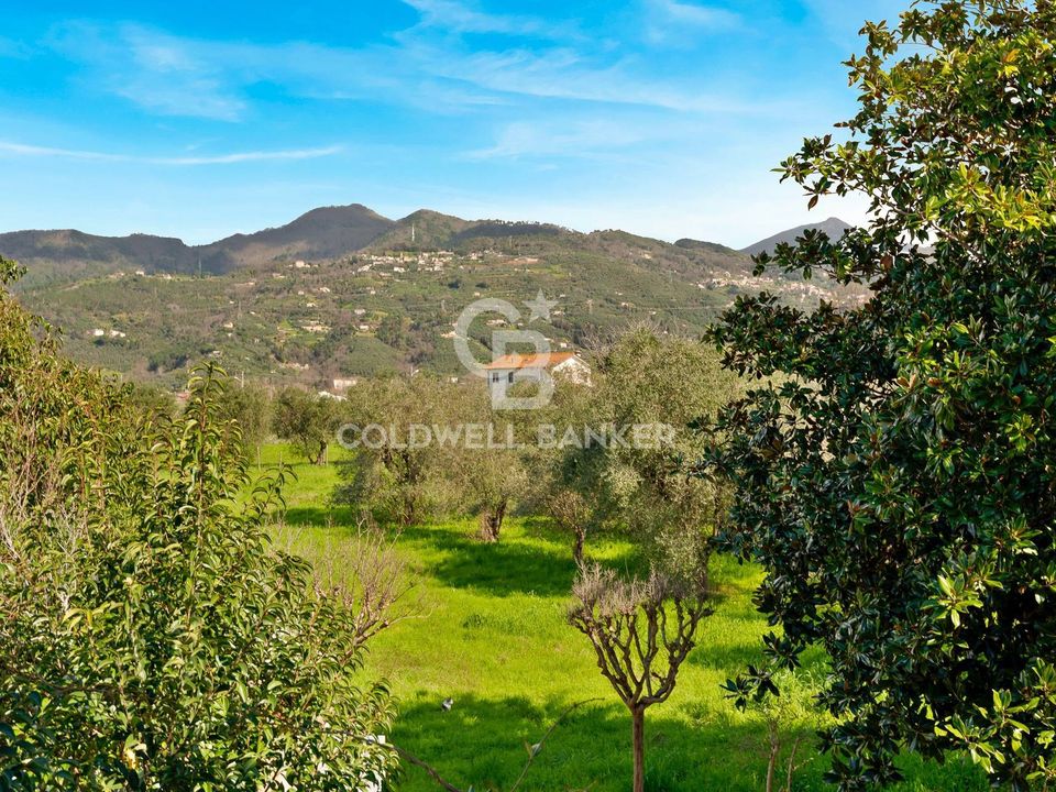Villa i Pietrasanta, Lucca - foto 3