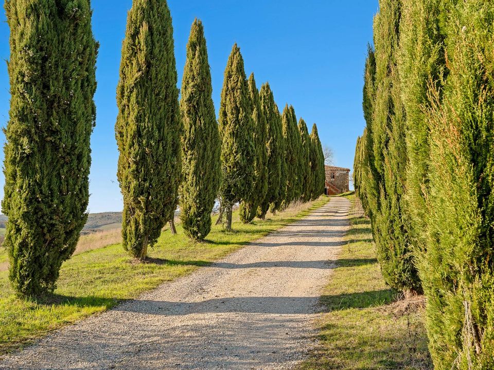 Herregård i Trequanda, Siena - bilde 1