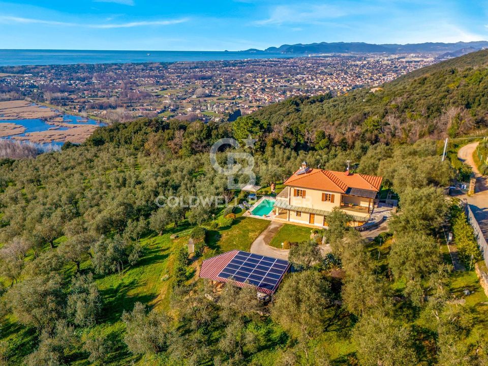Villa i Pietrasanta, Lucca - bilde 1