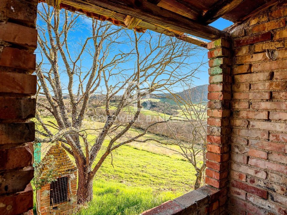 Villa i Trequanda, Siena - bilde 3