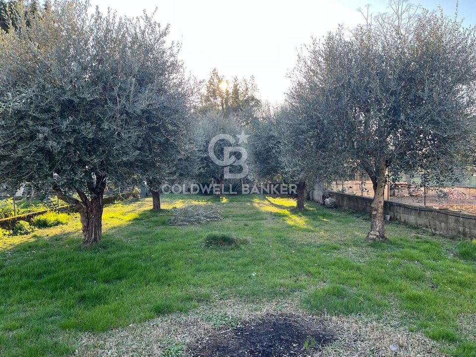 Villa i Pietrasanta, Lucca - bilde 4