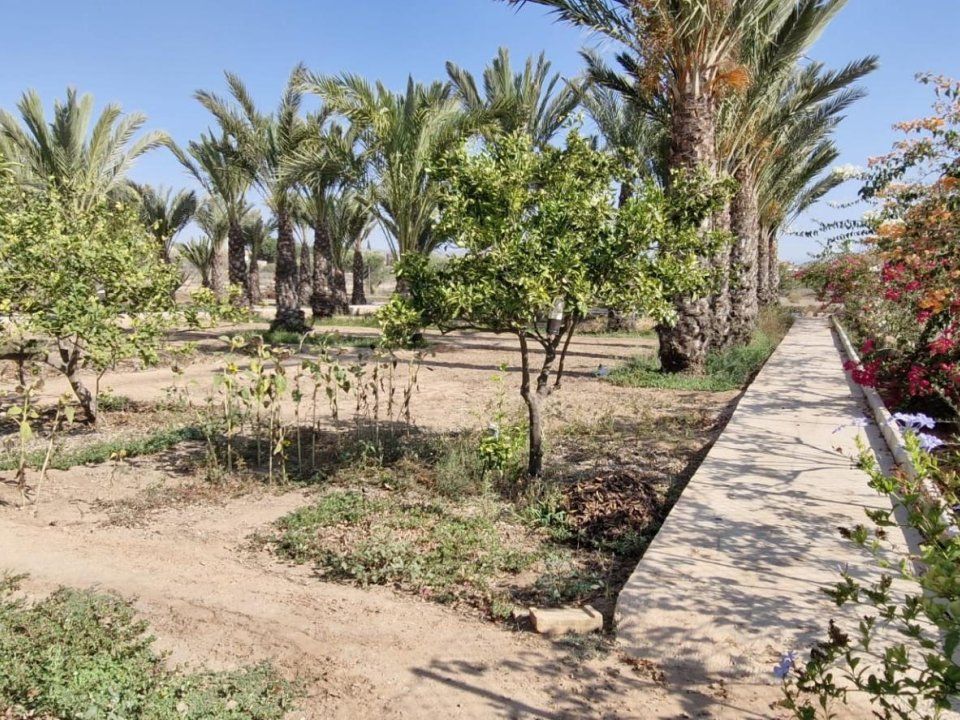 Landejendom i Elche, Alicante - foto 5