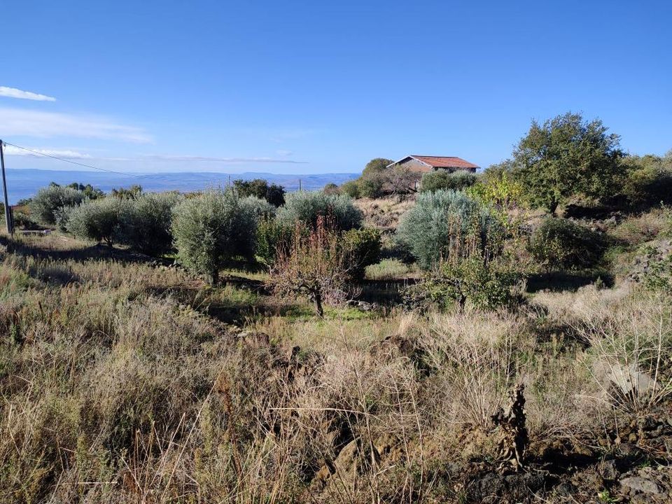 Helårsgrund i Ragalna, Catania - foto 3