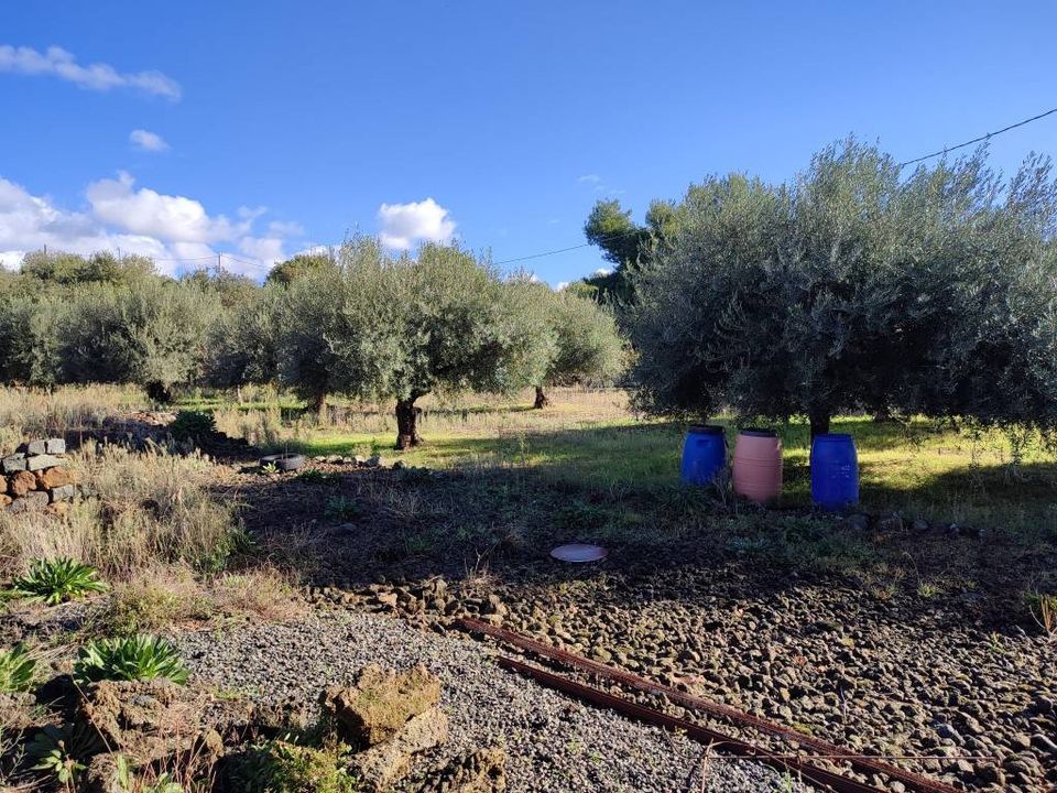 Helårsgrund i Ragalna, Catania - foto 5