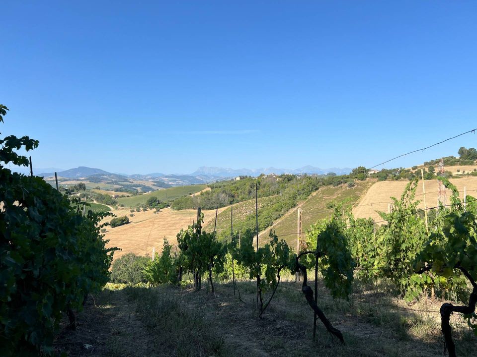 Villa i Petritoli, Fermo - foto 3