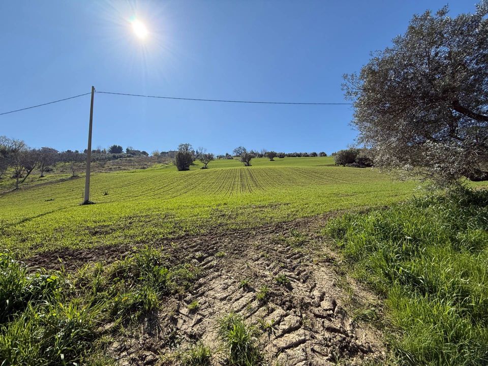 Villa i Fermo, Fermo - foto 4