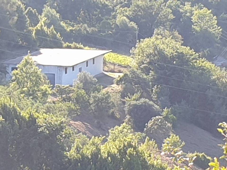Helårsgrund i Torchiara, Salerno - foto 4