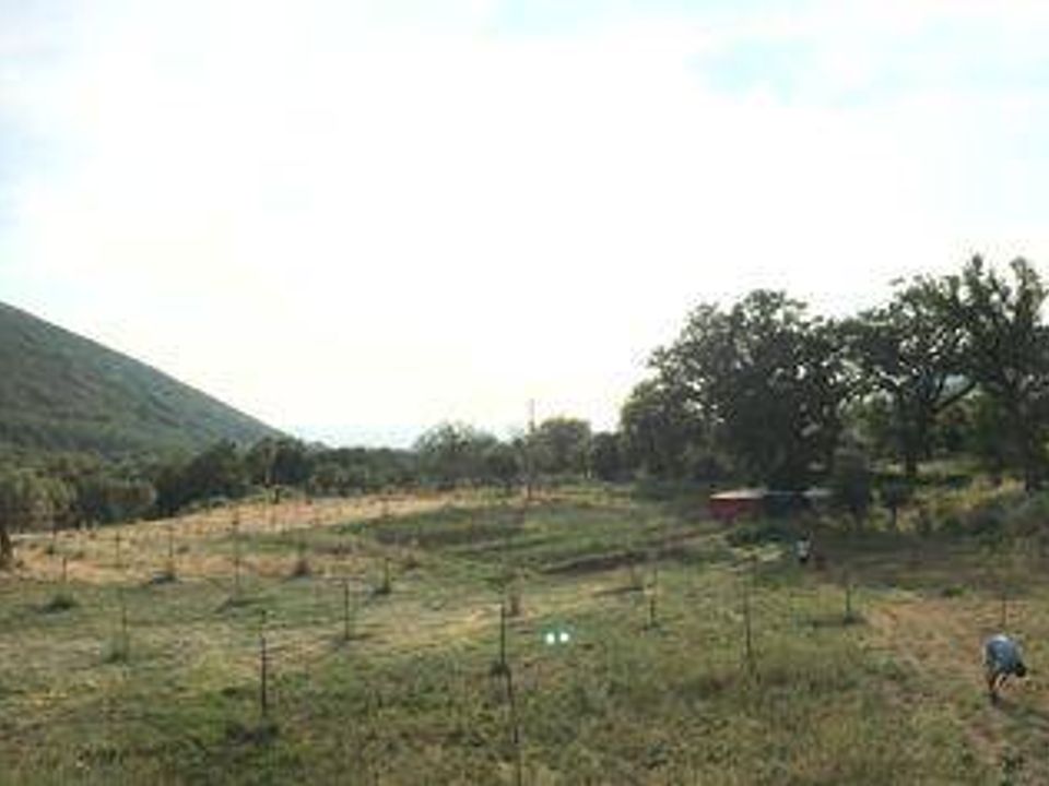 Helårsgrund i Capaccio Paestum, Salerno - foto 2